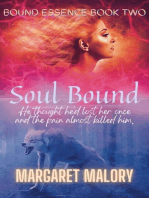 Soul Bound: Bound Essence, #2