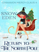 Return to the North Pole