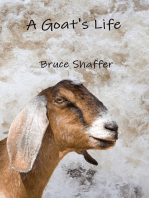 A Goat's Life