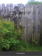 The Cadis Evening