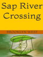 Sap River Crossing
