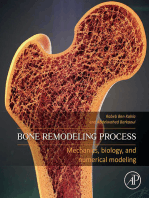 Bone Remodeling Process: Mechanics, Biology, and Numerical Modeling