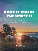 Home Is Where the Horse Is