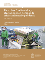 Derechos Ambientales y afectaciones en tiempos de crisis ambiental y pandemia, volumen I