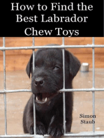 How to Find the Best Labrador Chew Toys