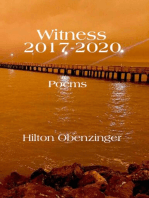 Witness 2017-2020