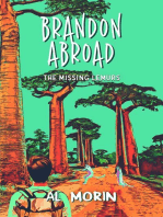 Brandon Abroad: The Missing Lemurs