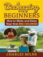 Beekeeping for Beginners: How to Make and Raise Your first Bee Colonies