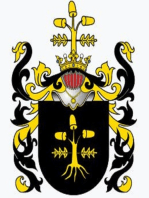 The noble Polish family Piotrowski - kniaz (princes): Die adlige polnische Familie Piotrowski. (Fürsten)