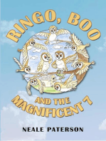 Ringo, Boo and the Magnificent 7