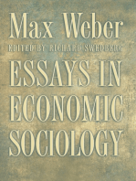 Essays in Economic Sociology