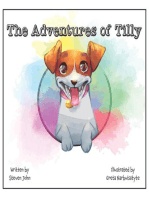 The Adventures of Tilly
