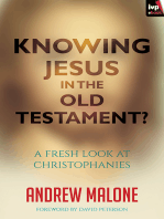 Knowing Jesus in the Old Testament?: A Fresh Look At Christophanies