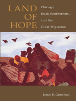 Land of Hope: Chicago, Black Southerners, and the Great Migration