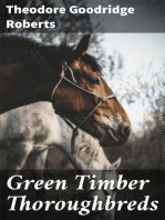Green Timber Thoroughbreds