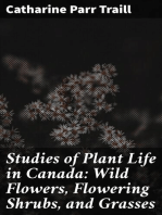 Studies of Plant Life in Canada