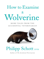 How to Examine a Wolverine: More Tales from the Accidental Veterinarian