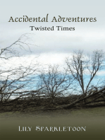 Accidental Adventures: Twisted Times