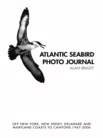 Atlantic Seabird Photo Journal: Off New York, New Jersey, Delaware and Maryland Coasts to Canyons 1967-2006