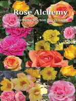 Rose Alchemy: The Reiki Seichim Integration