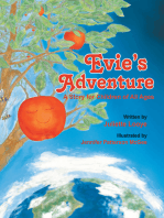 Evie's Adventure