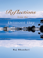 Reflections from the Belmont Bay