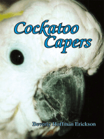Cockatoo Capers