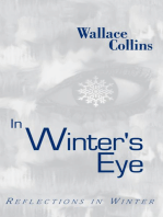 In Winter's Eye