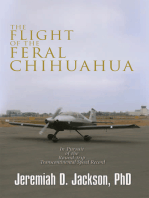 The Flight of the Feral Chihuahua: In Pursuit of the Round-Trip Transcontinental Speed Record