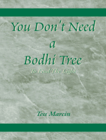 You Don't Need a Bodhi Tree: To Find the Light