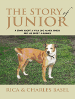 The Story of Junior