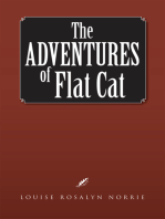 The Adventures of Flat Cat