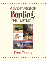 Adventures of Bunting, the Turtle