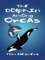 The Dolphin Among Orcas