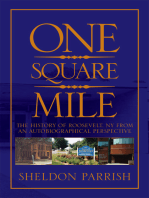 One Square Mile: The History of Roosevelt Ny from a Autobiographical Perspective