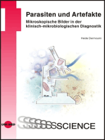 Parasiten und Artefakte. Mikroskopische Bilder in der klinisch-mikrobiologischen Diagnostik