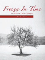 Frozen in Time: A Collection of My Thoughts