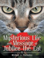 The Mysterious Life and Message of Jubilee the Cat