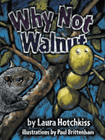Why Not Walnut
