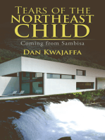 Tears of the Northeast Child: Coming from Sambisa