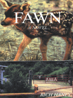 Fawn