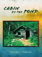 Cabin by the Pond