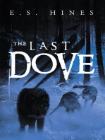 The Last Dove: The Trilogy of Aeir