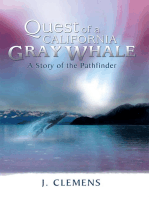 Quest of a California Gray Whale