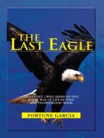 The Last Eagle: I’M a Light, I Will Shine on You a New Way of Life Fiction and Technologic Book