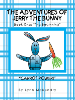 The Adventures of Jerry the Bunny-Book One: the Beginning