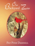 Our Backyard Zoo