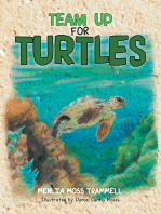 Team up for Turtles