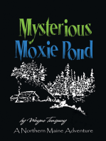 Mysterious Moxie Pond