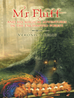 Mr Fluff and His Magical Adventures in the Enchanted Forest.